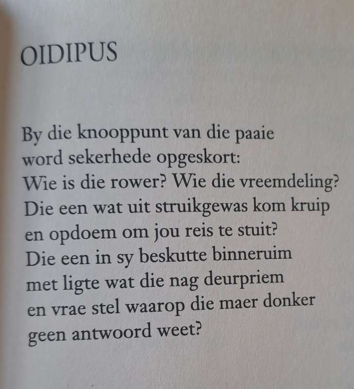 Vloeibare middelpunt - Martjie Bosman (paperback)