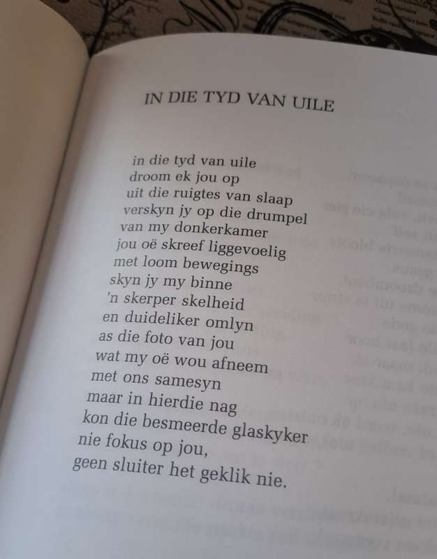 In die tyd van Uile - Sarina Donges (paper back)