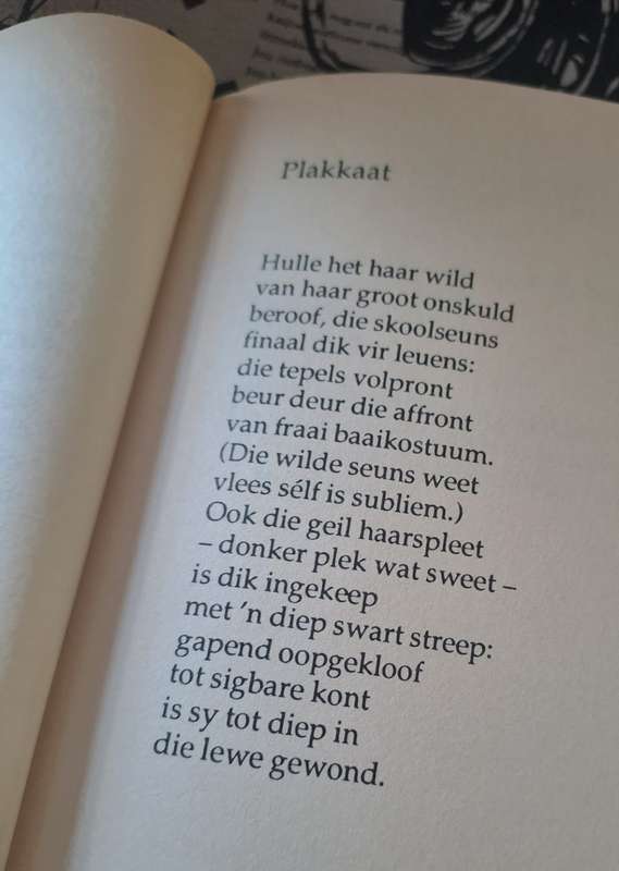 Nagsweet - Johann de Lange (paperback)