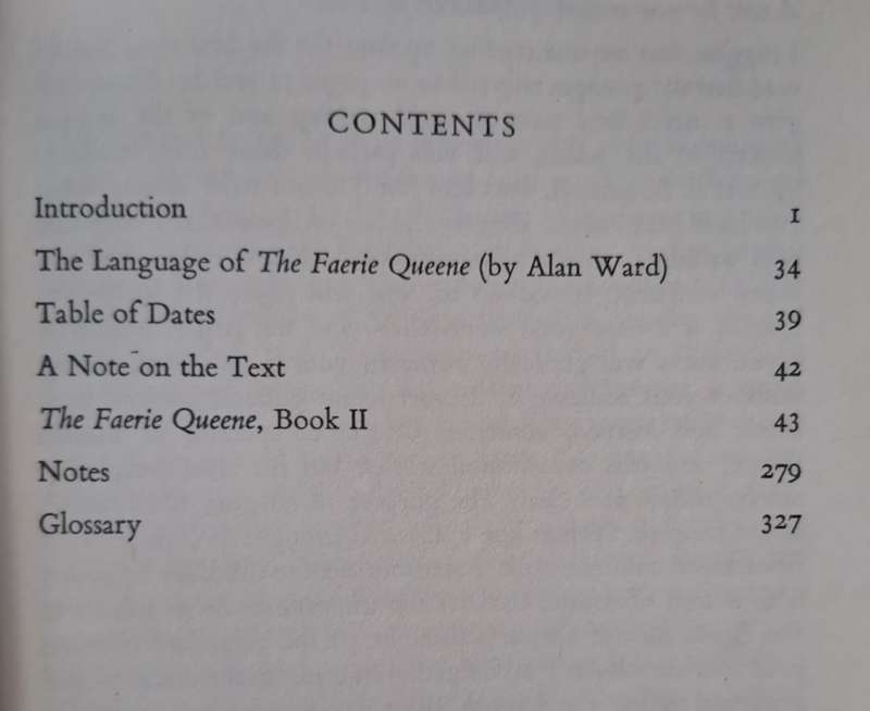The Faerie Queene - Edmund Spenser (paperback)