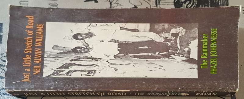 Just a Little Stretch of Road - Neil Alwin Williams (paperback)