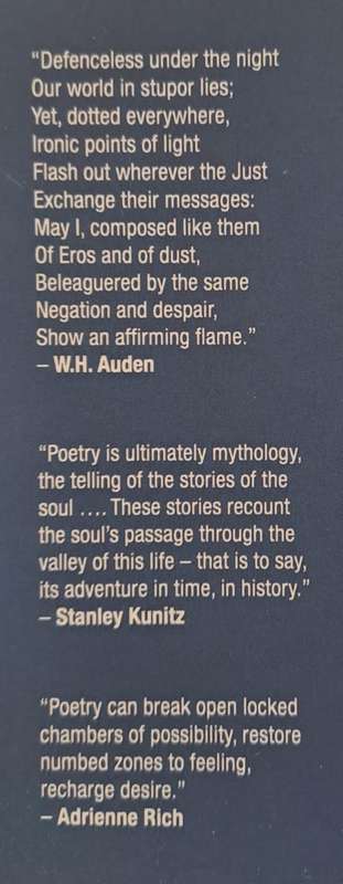 I wish id said...Vol.2 - Johann de Lange (paperback)