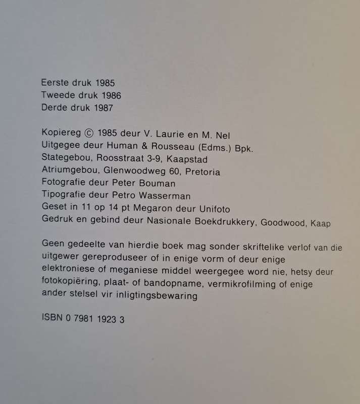 Patroonboek vir laslapwerk - Via Laurie & Martini Nel (paperback)