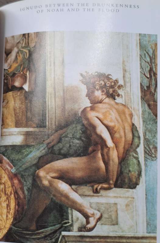 Michelangelo - Kirsten Bradbury (hard cover with dj)