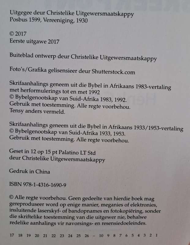 Breekpunt - Henk Gous (paperback)