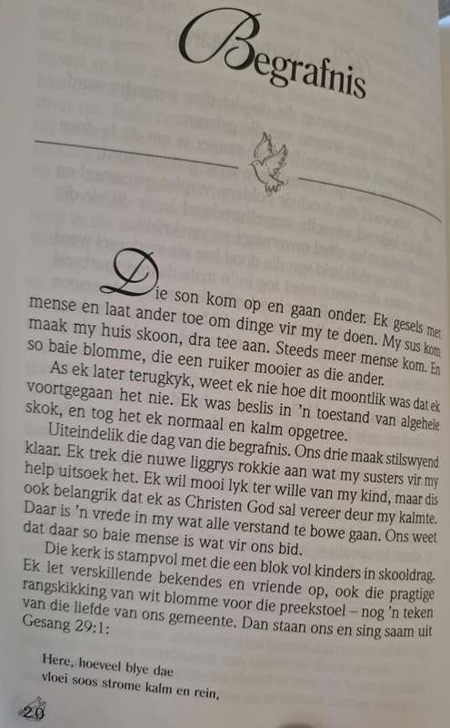 Wanneer n geliefde sterf - Letitia Slabber (paperback)