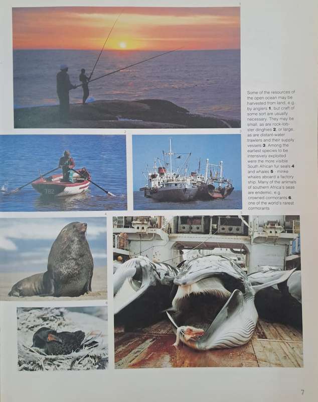 Secrets of the sea - Payne, Crawford, Van Dalsen (paperback)