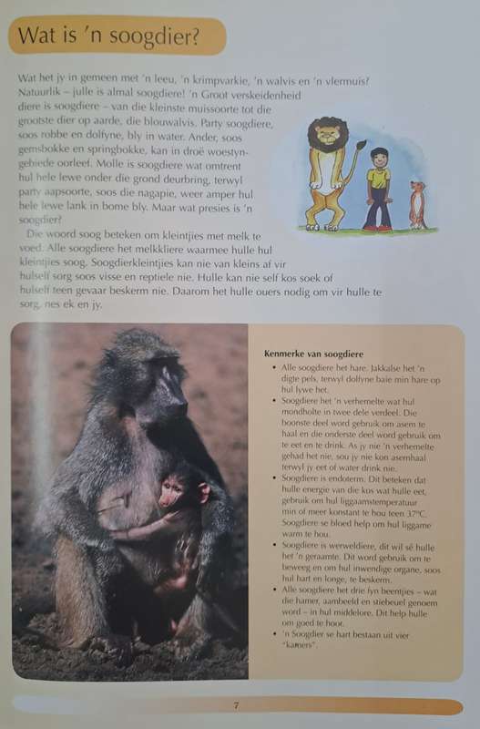 Hoe wyd kan n seekoei sy bek oopmaak? - Jaco Jacobs & Reinier Terblanche (paperback)