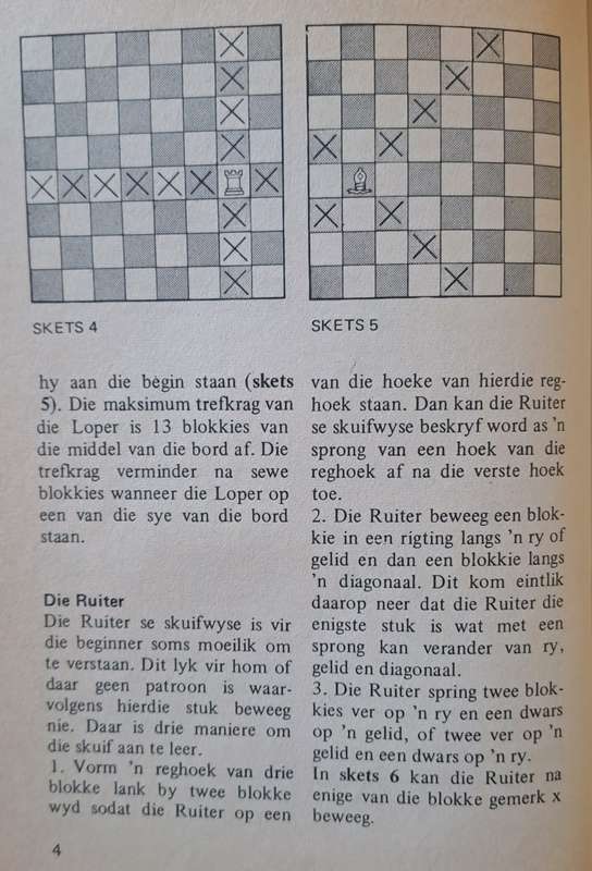 Skaak - Cor Nortje en Martin Serfontein (paperback)
