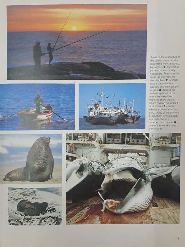 Secrets of the sea - A.I.L. Payne & R.J.M. Crawford (paperback)