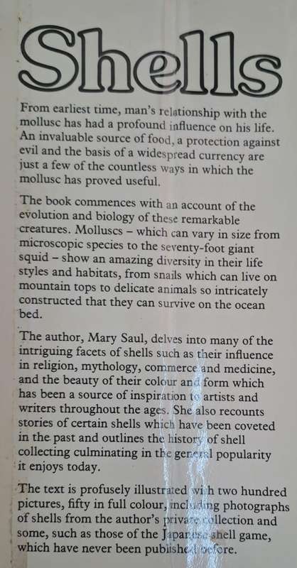 Shells - Mary Saul (hard cover with dj)
