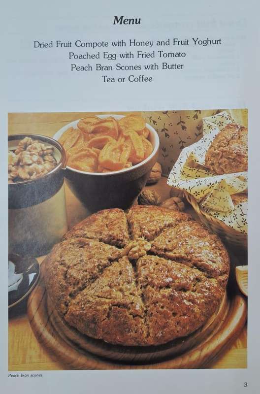 Dried fruit - nature's own recipe (paperback)