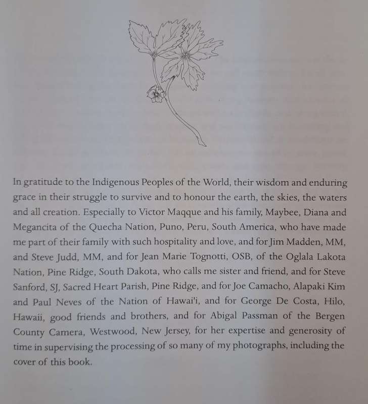 Harm not the earth - Megan McKenna (paperback)