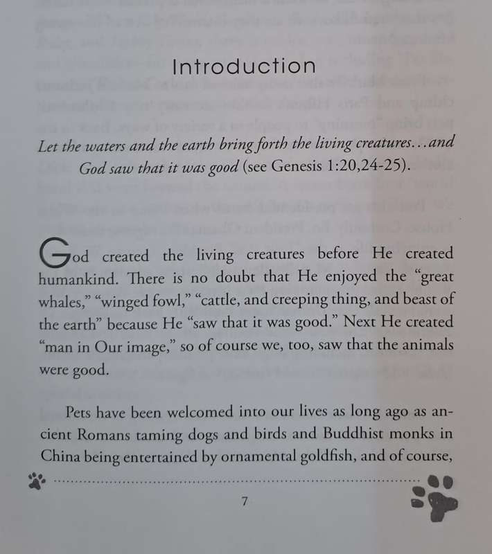 Will my pet go to heaven? - Shae Cooke (paperback)