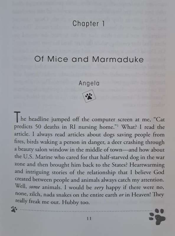 Will my pet go to heaven? - Shae Cooke (paperback)
