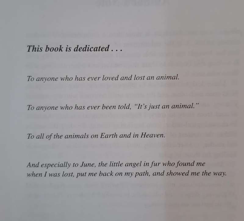 Animals and the Afterlife - Kim Sheridan (paperback)