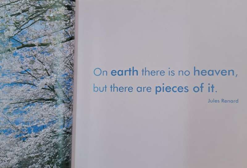 Quotable earth - Milly Brown (Hard cover)