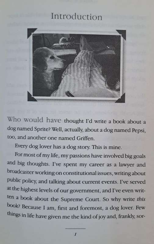 Rescuing sprite - Mark R. Levin (paperback)