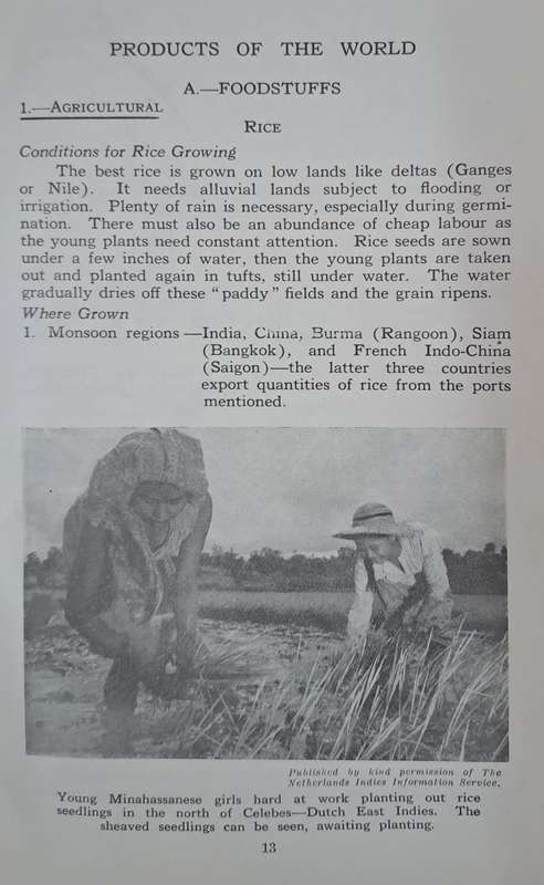 What do they carry? - M. W. Dunn (paperback)