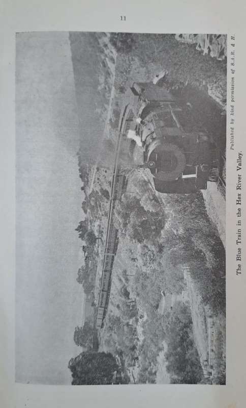 What do they carry? - M. W. Dunn (paperback)