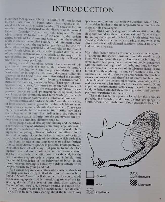 Everyone's guide to Birds of South Africa - Ian Sinclair (paperback)