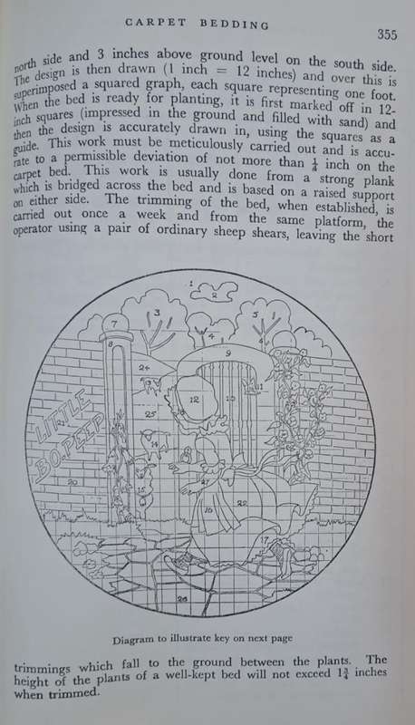 Standard garden practice for Southern Africa - Wilfrid G. SHEAT (Hard cover with dj)