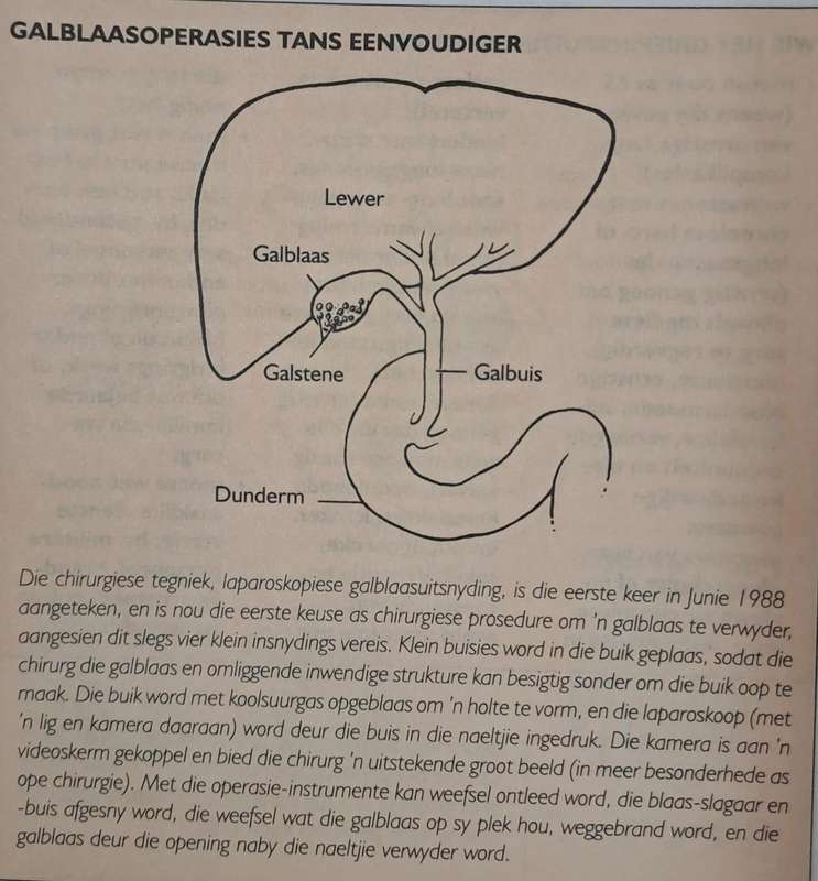 Die volledige Suid-Afrikaanse gesondheidsgids - June Engel (paperback)