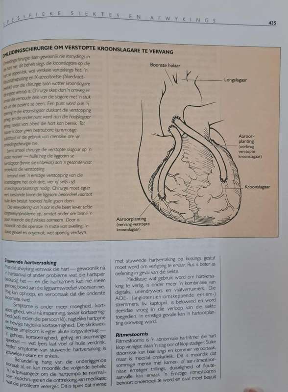 Die volledige Suid-Afrikaanse gesondheidsgids - June Engel (paperback)