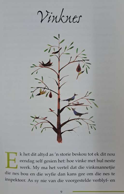 Liedjie uit n Towerfluit - Izak de Villiers (paperback)