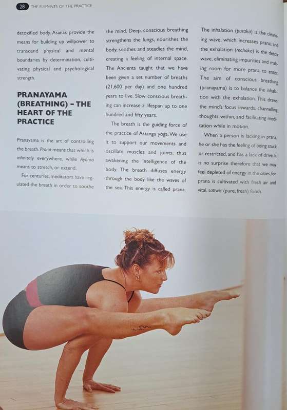 Astanga Yoga - Liz Lark (paperback)