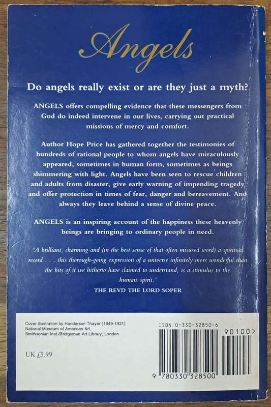 Angels - Hope Price (paperback)