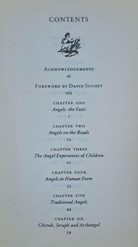 Angels - Hope Price (paperback)