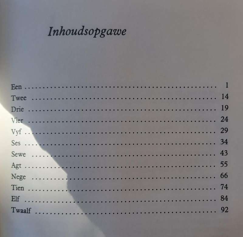 Grenswag - H.J. Vermaas (Hard cover with dj)