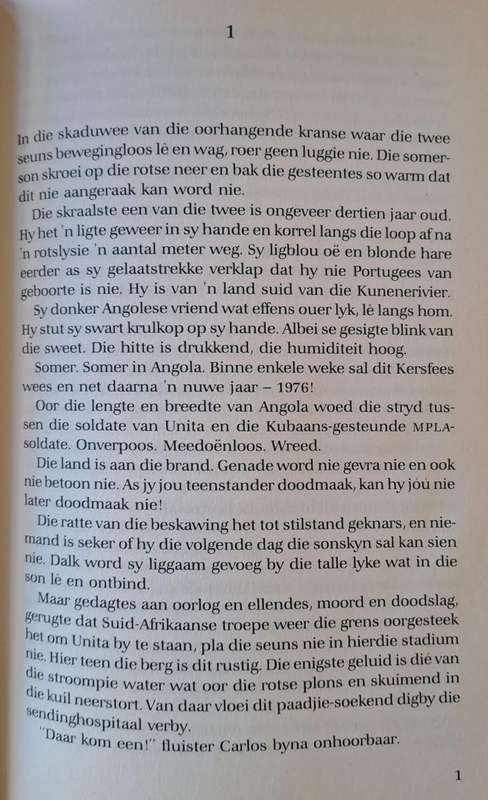 Vryheidsvlug - Kobus Bezuidenhoud (paperback)