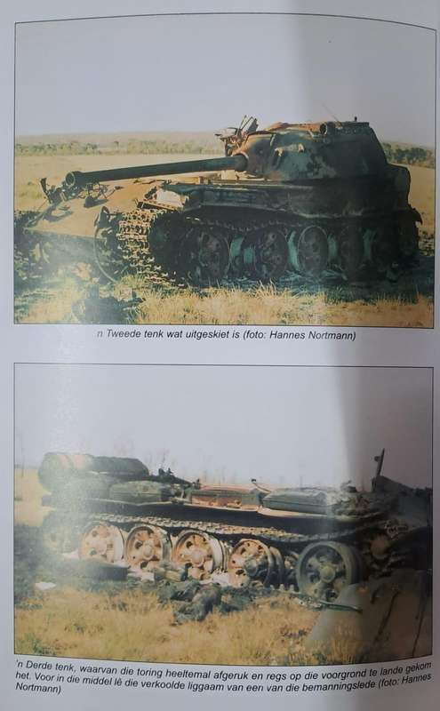 Die buffel struikel - L.J. Bothma (paperback)