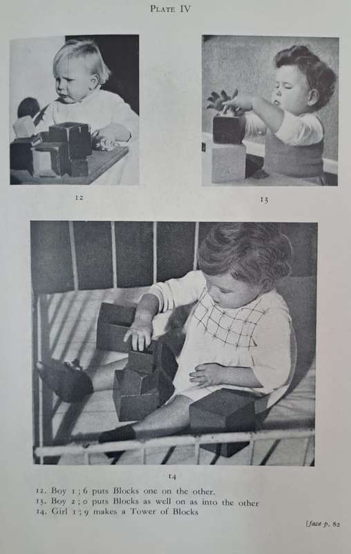 From the birth to maturity - Dr Charlotte Bühler (Hard cover with no dj)