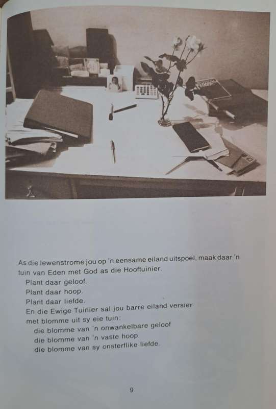 Vyfsterhotel - Naomi Nieuwoudt (Hard cover)