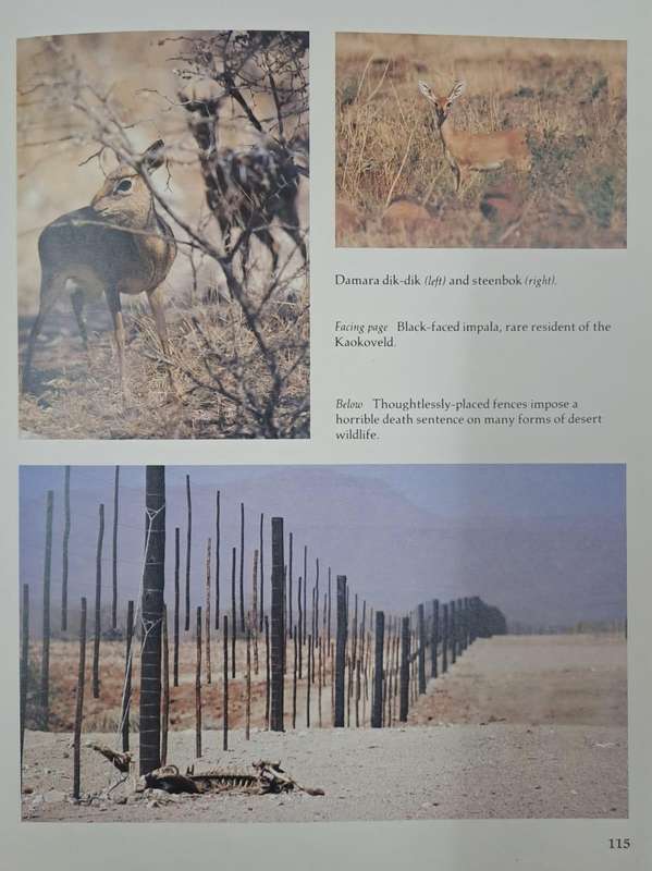 Kaokoveld the last wilderness - Anthony Hall-Martin (Hard cover with dj)