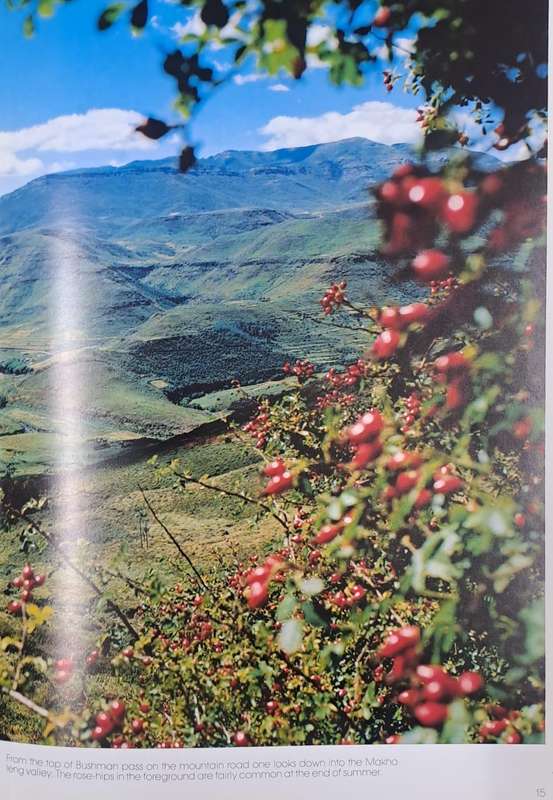 Lesotho - Dirk & Colleen Schwager (Hard cover with dj)
