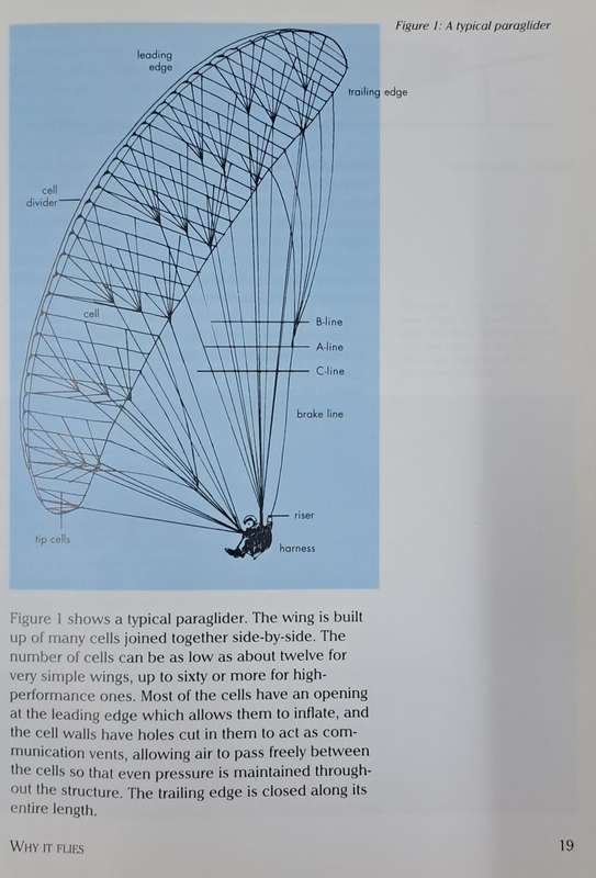 Paragliding the complete guide - Noel Whittall (paperback)