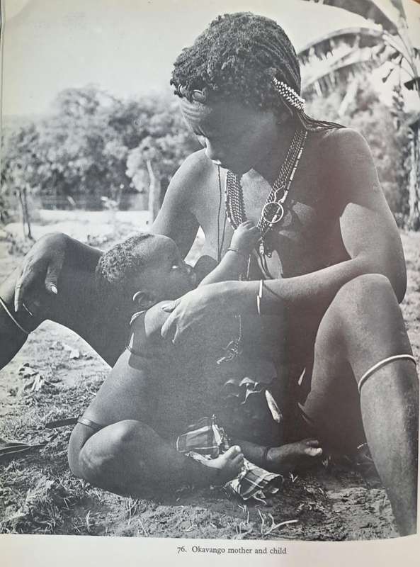 South West Africa - Alice Mertens (Hard cover with dj)