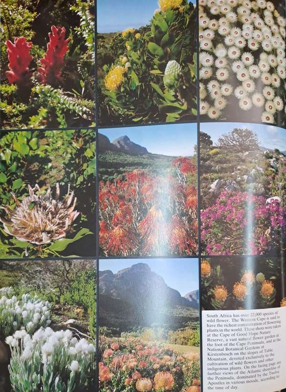 The splendour of South Africa - R.I.B. Webster (Hard cover with dj)