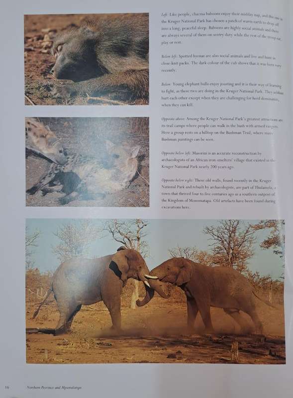 Majestic South Africa - Wilf Nussey (Hard cover with dj)