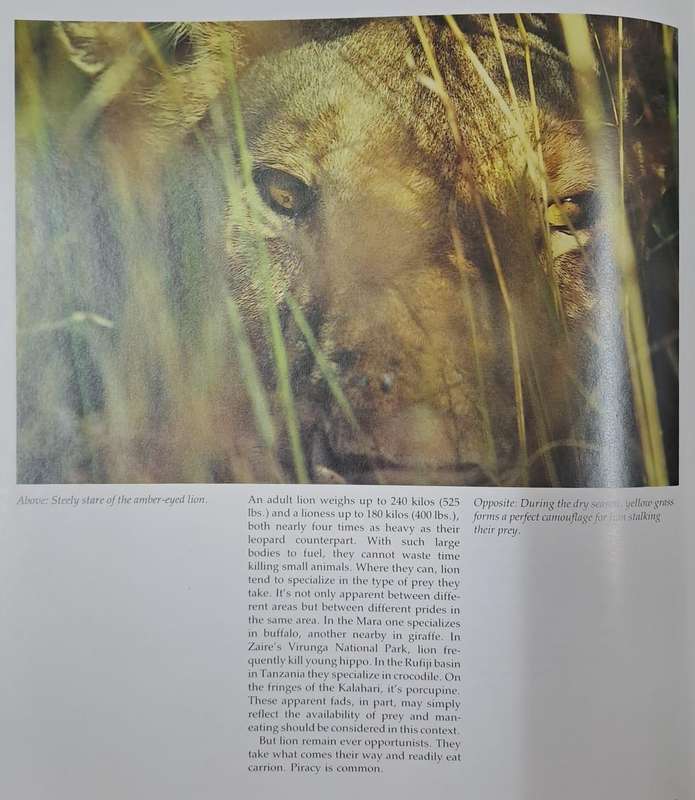 The hunters and the hunted - Karl and Kathrine Ammann (Hard cover with dj)