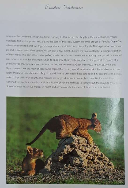 Images from a timeless wilderness - Richard du Toit & Gerald Hinde (Hard cover with dj)