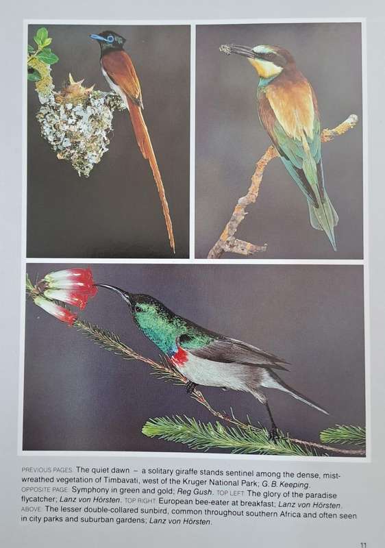 The best of wildlife photography in Southern Africa (Hard cover with dj)