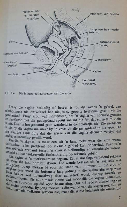 Ek, die vrou - Derel Llewellyn-Jones, M.D. (hard cover with dj)