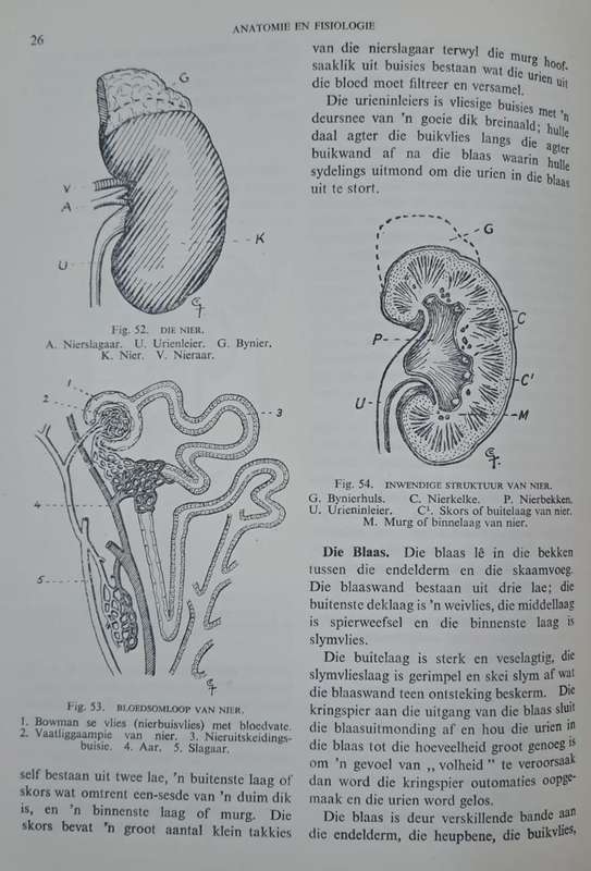 Die Afrikaanse HuisDokter - H. K. Wagner (hard cover with no dj)