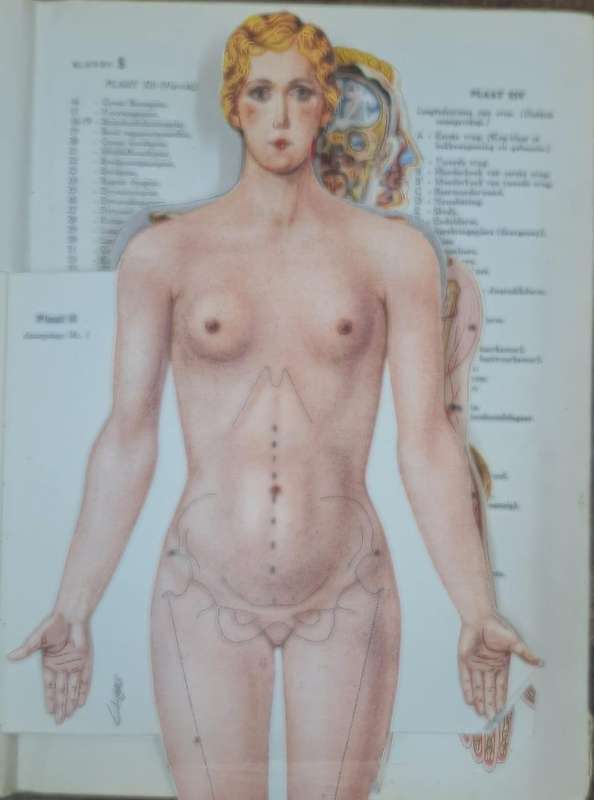 Die Afrikaanse HuisDokter - H. K. Wagner (hard cover with no dj)