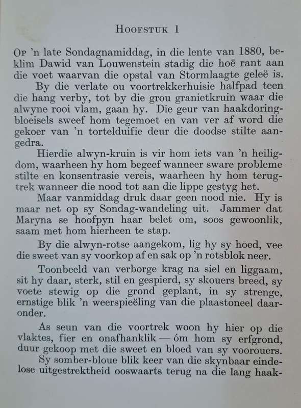 Stormlaagte - Elizabeth Vermeulen (Hard cover with no dj)